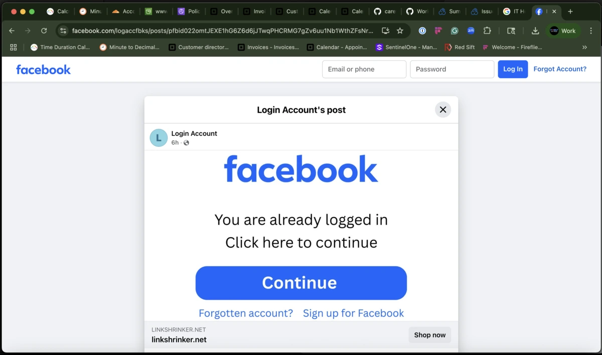 Attacker‑controlled Facebook Page titled 'Login Accounts' embedding a malicious Continue button.